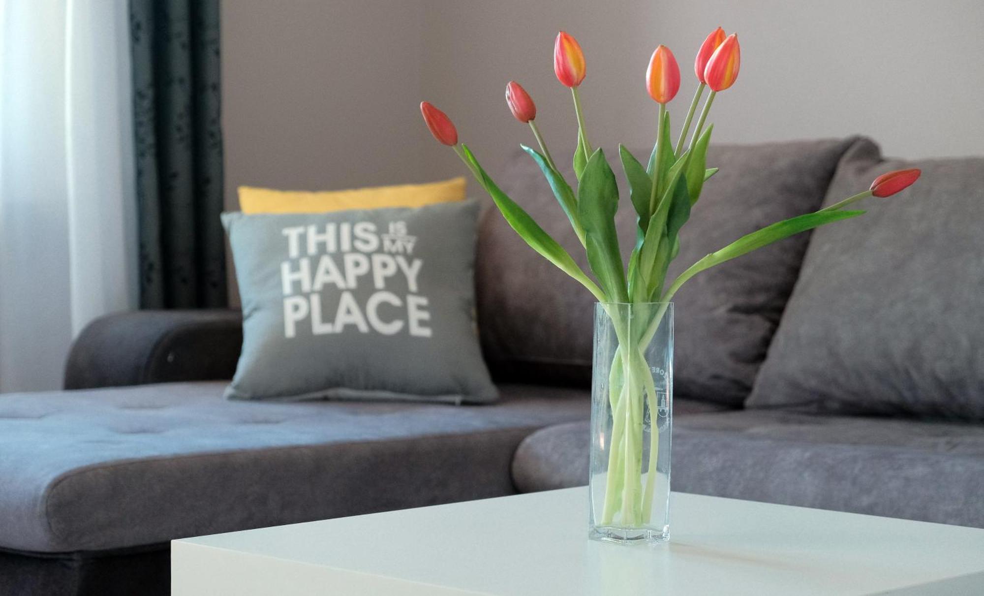 Apartmani Donata Rijeka Zimmer foto